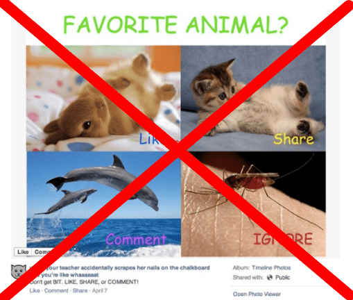 favorite-animals