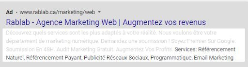 exemple d'extension snippets Google Ads